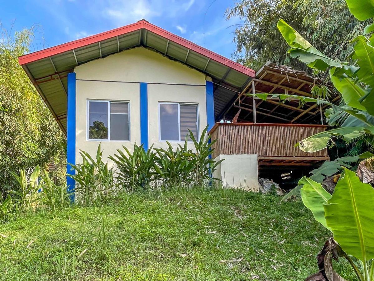 Blue Moon Guesthouse Puerto Princesa Exterior foto