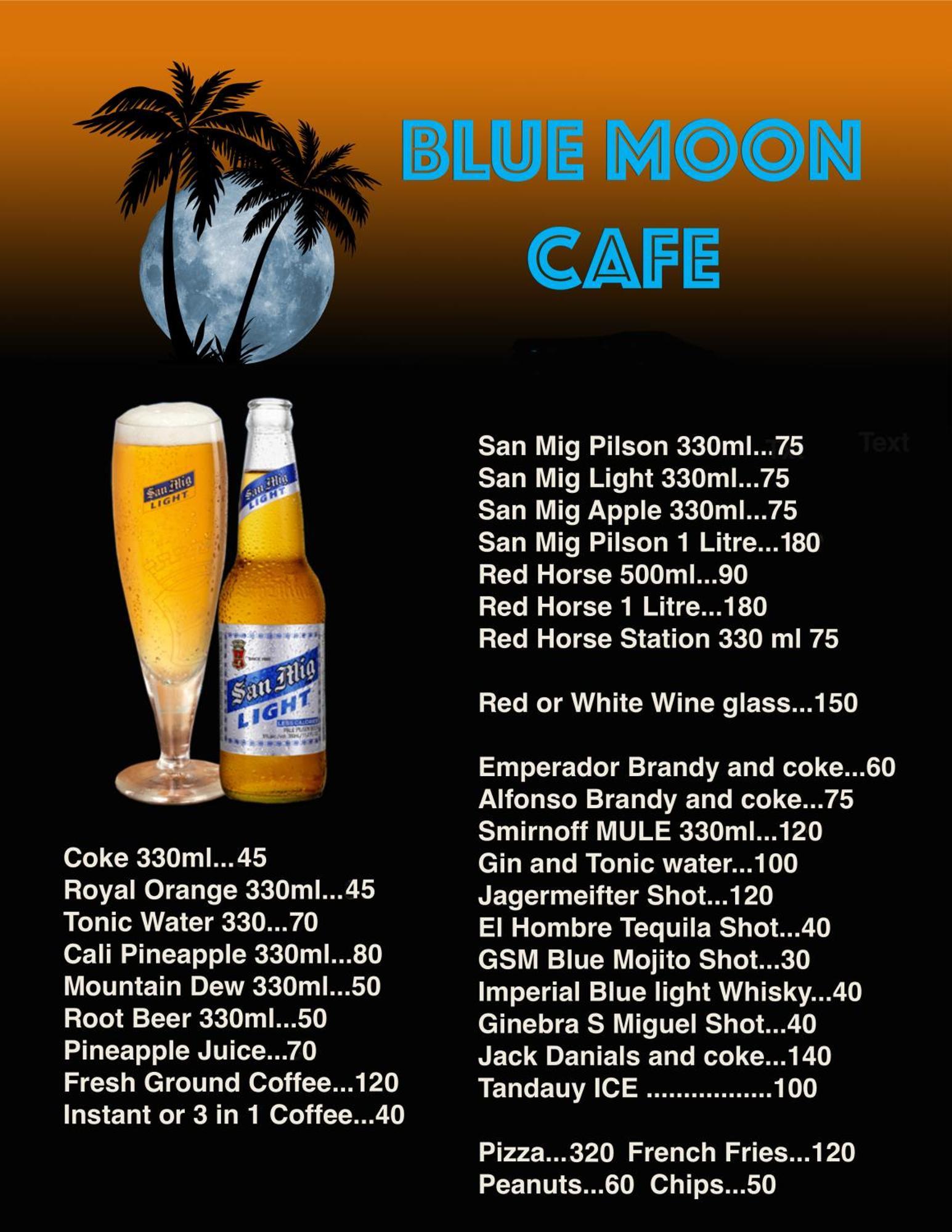 Blue Moon Guesthouse Puerto Princesa Exterior foto